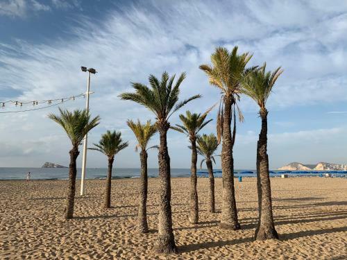 Apartamento Pink Beach Benidorm