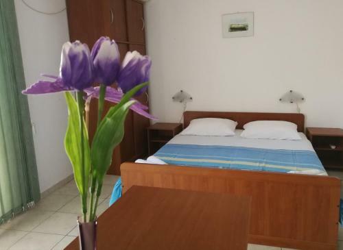 Apartmani Antonia