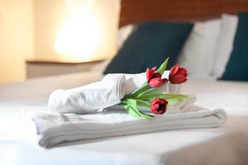 Blu Hotel
