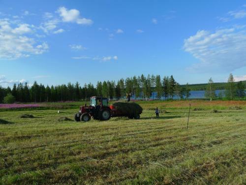 Agroturismo Heidin Mummola Farm