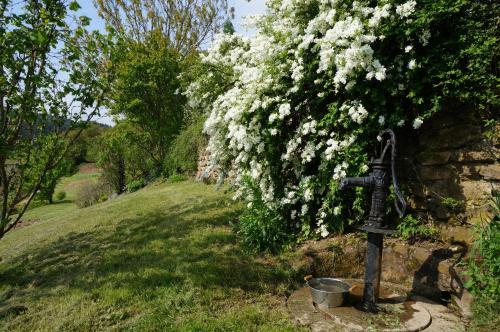 Bed & Breakfast La Ferme Du Thiollet