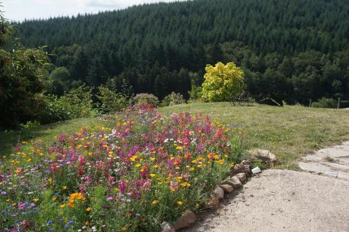 Bed & Breakfast La Ferme Du Thiollet