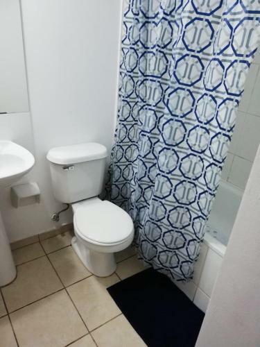 Apartamento Departamento Amoblado Por Dias