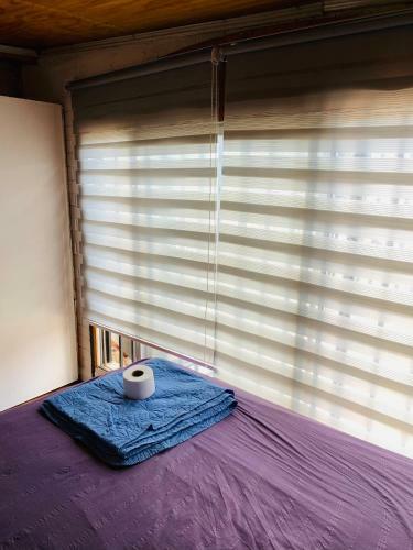 Hostal Habitacion Santiago Sur