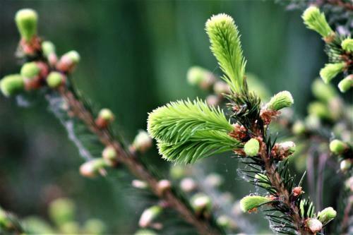 Gospodarstwo Agroturystyczne Powierz�wka