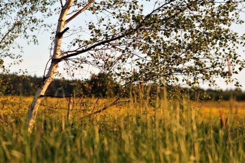 Gospodarstwo Agroturystyczne Powierz�wka