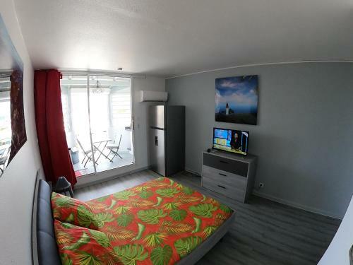 Apartamento Studio Grand Confort Vue Mer Plage � 100m