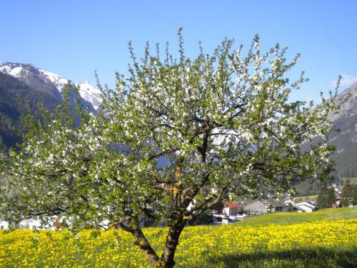 Agroturismo Weberhof