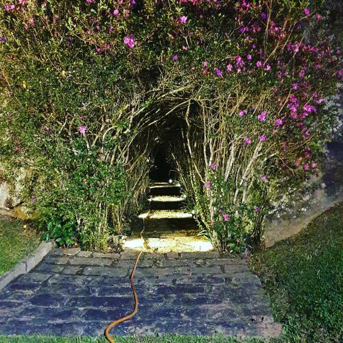 Casa Na Serra - Itaipava