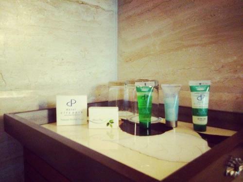 Hotel City Park Resort