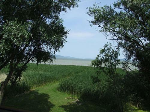 Bed & Breakfast P�ter Panzi�