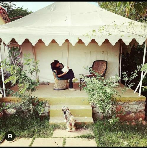 Hotel Sundervan Wildlife Resort
