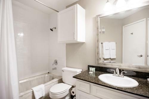 Hidden Gem At Med Center 2br & 2ba Apartment