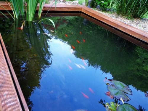 Apartamento B�rzs�nyliget Vend�gh�z