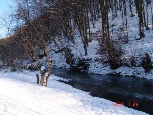 Apartamento B�rzs�nyliget Vend�gh�z