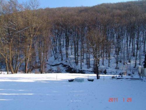 Apartamento B�rzs�nyliget Vend�gh�z