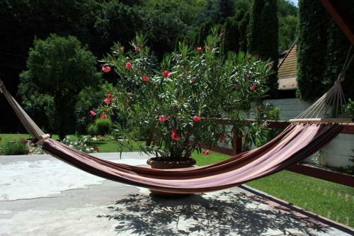 Apartamento B�rzs�nyliget Vend�gh�z