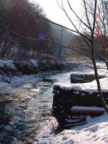 Apartamento B�rzs�nyliget Vend�gh�z