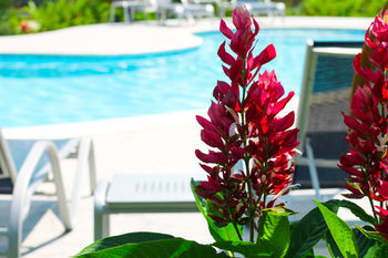 Hotel Corinto Pearl Eco Resort