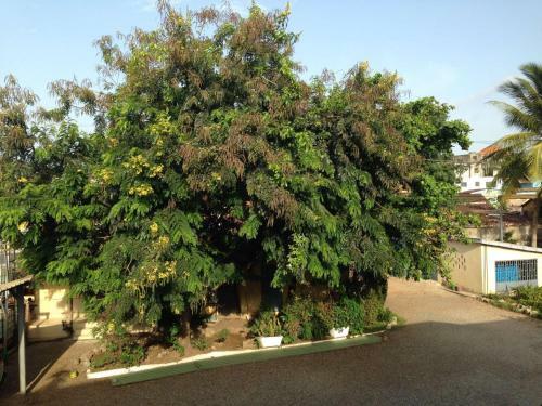 Bed & Breakfast R�sidence Schaka