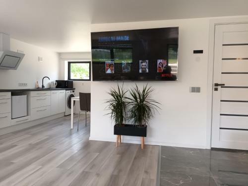 Luxury Apartment Private House And Parking Netflix