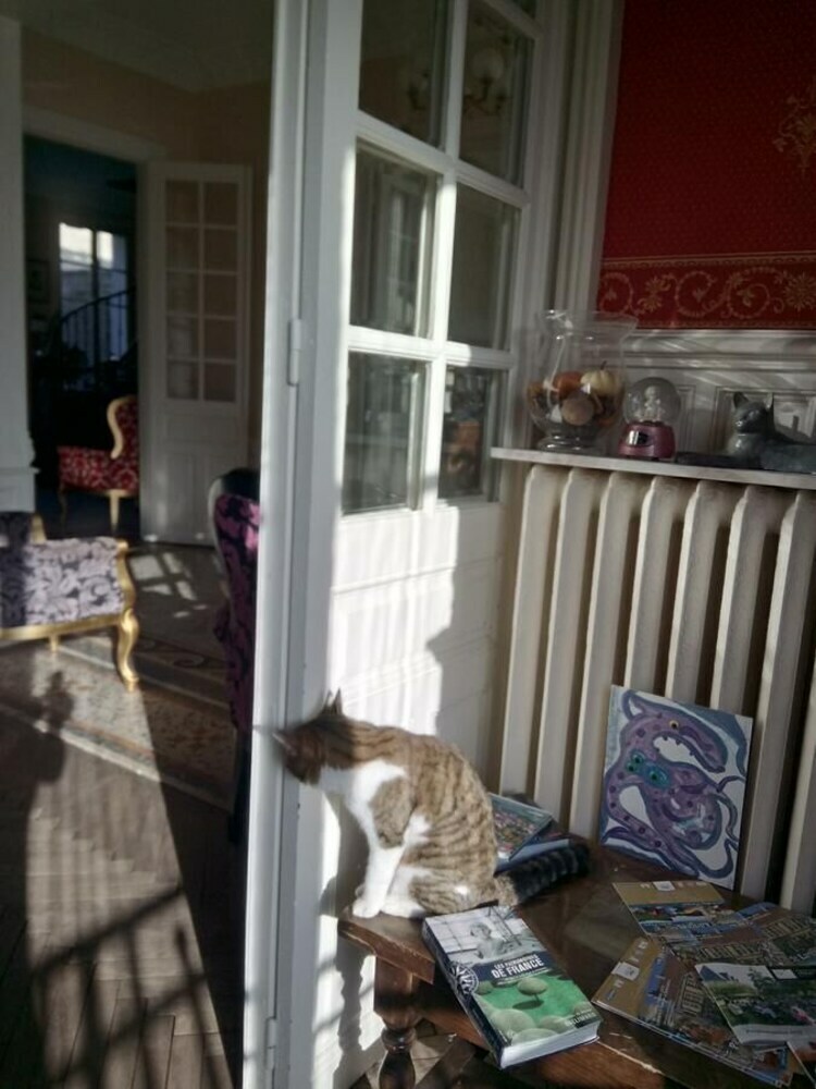 Bed & Breakfast Le Belvedere Des Remparts