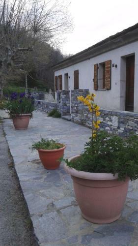 G�te La Fontaine Corse