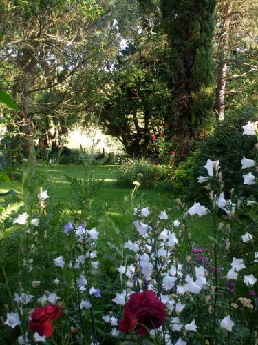 Hostal Jardin La Bourdonni�re