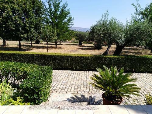 Hostal Quinta Do Ervedal- Castelo Novo