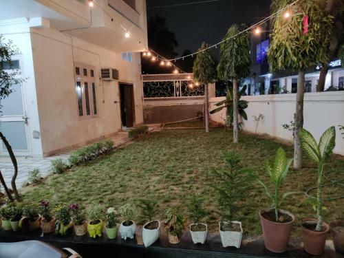 Hostal House No. 87
