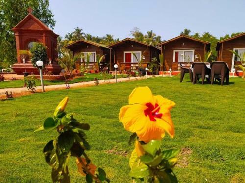 Hotel Livingstone Arambol Water Resort