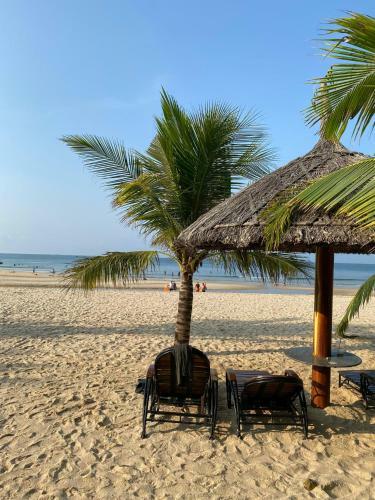 Apartamento C?n H? View Bi?n 2pn - Ocean Vista M?i N�