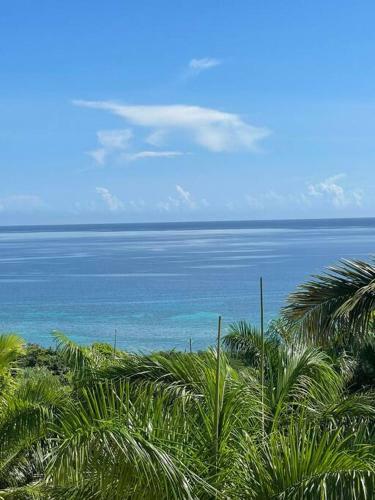 Spring Garden Mobay Resort Luxurious Apartments