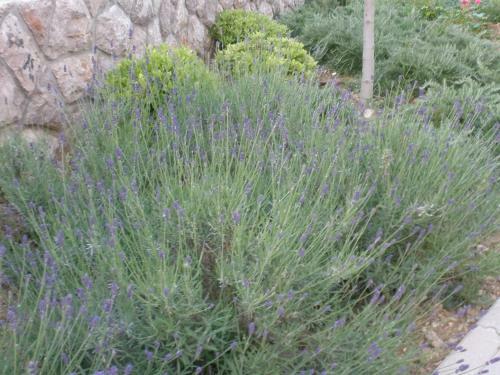 Apartamento Villamare Baska-krk