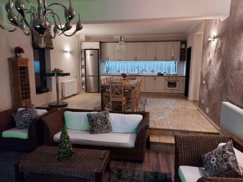 Villa Luxury Resort Brezoi