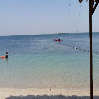 Hotel Flamingo Beach Resort
