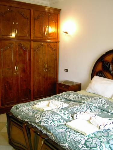 Nile Dream Apartment House Luxor