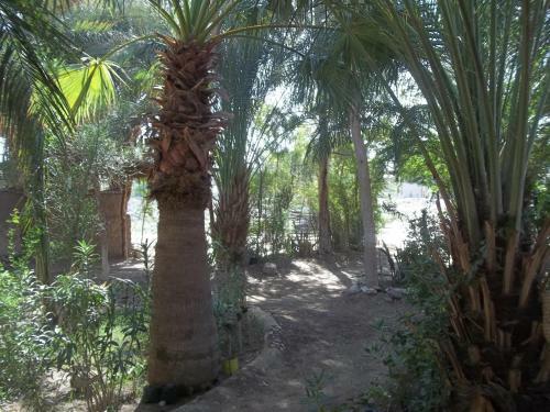 Hotel Nour El Gourna