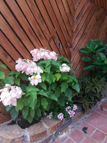 Apartamento Con Calor De Hogar