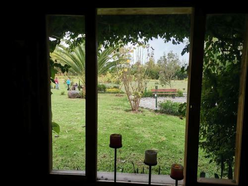 Villa La Palmita