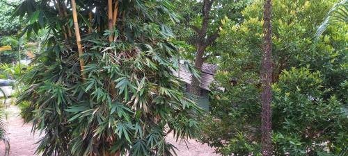 Albergue Shady Transit Hotel
