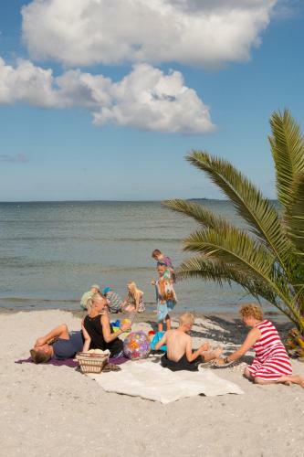 Frederikshavn Nordstrand Camping & Cottages