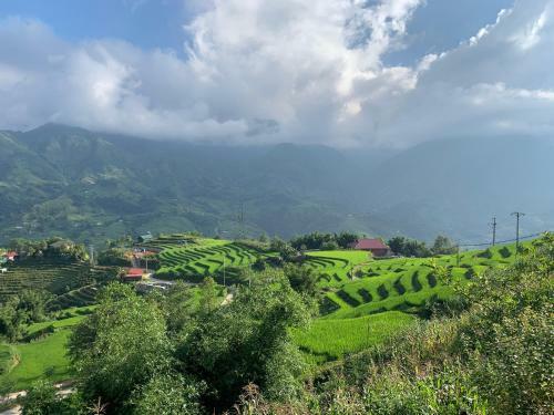 Hotel Sapa Rosie House