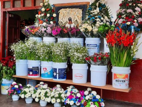 Casa De Campo Cerca De Pueblos M�gicos Michoacanos