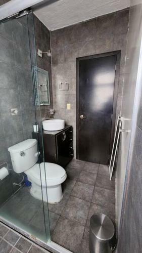 Apartamento Dpto. Completo En Minerva, King Size, Moderno.