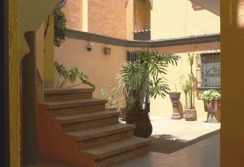 Apartamento Suite/ Terraza En La Glorieta Chapalita