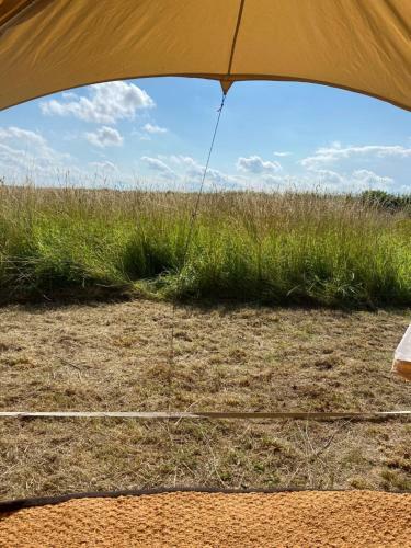 Gresham Hall Glamping