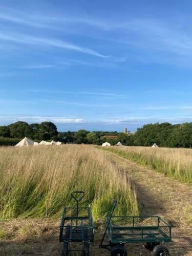 Gresham Hall Glamping