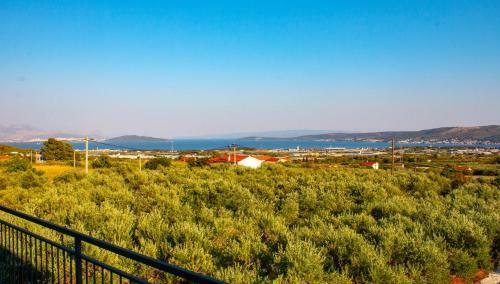 Luxury Villa Levantino Between Olive Trees