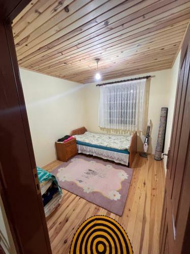 Ha�ka Yaylasi Da? Ev?